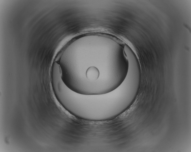 X0000097651389200803280919