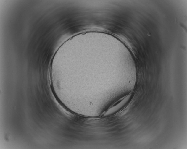 X0000097651391200803280919