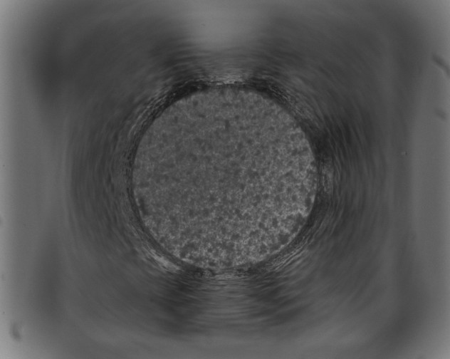 X0000097651393200803280918