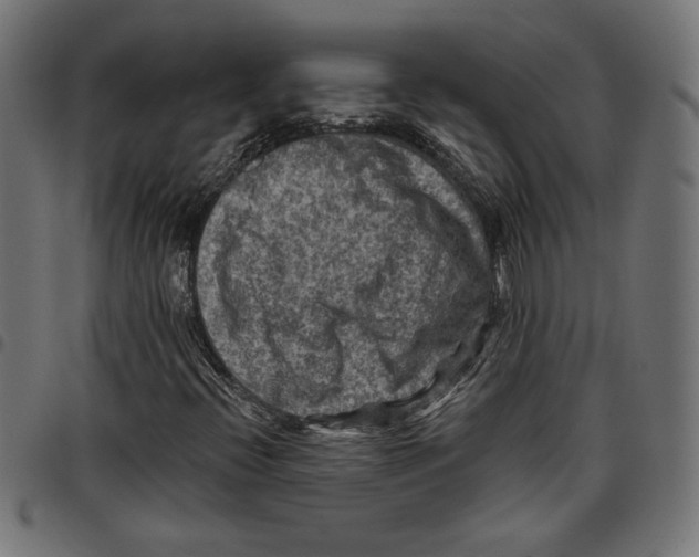 X0000097651396200803280918