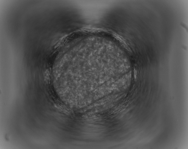 X0000097651397200803280918