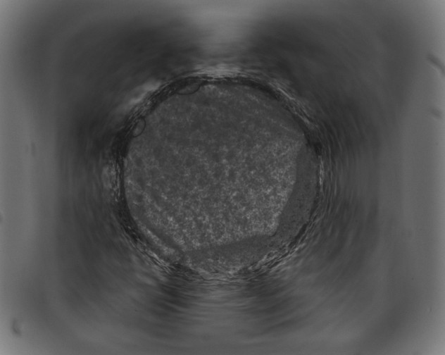 X0000097651398200803280918