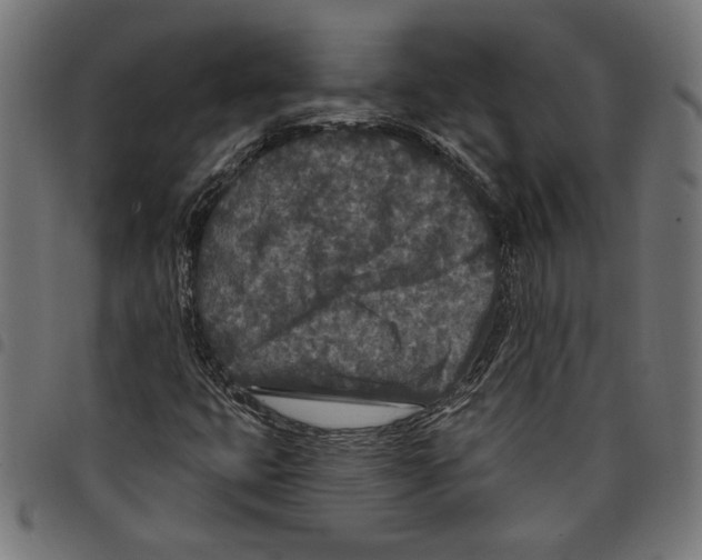 X0000097651399200803280918