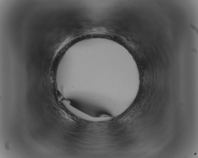 X0000097651400200803280918