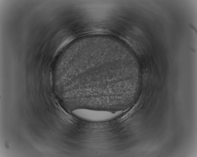 X0000097651402200803280919