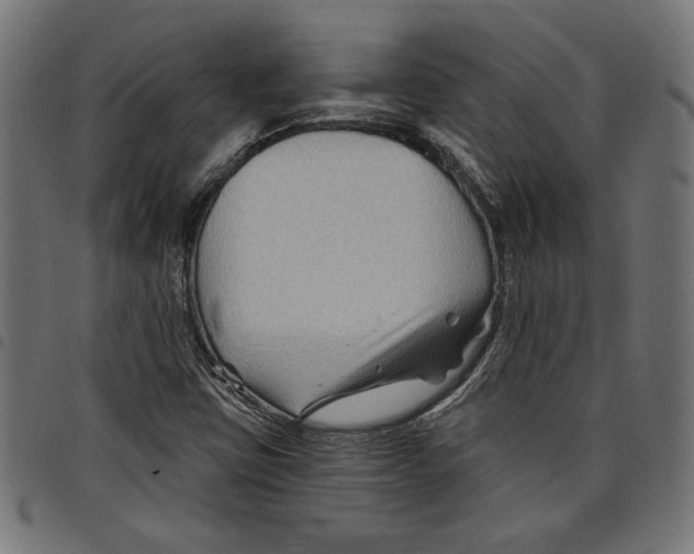 X0000097651403200803280919