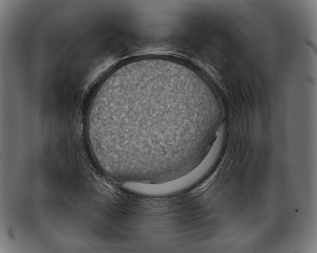 X0000097651406200803280919