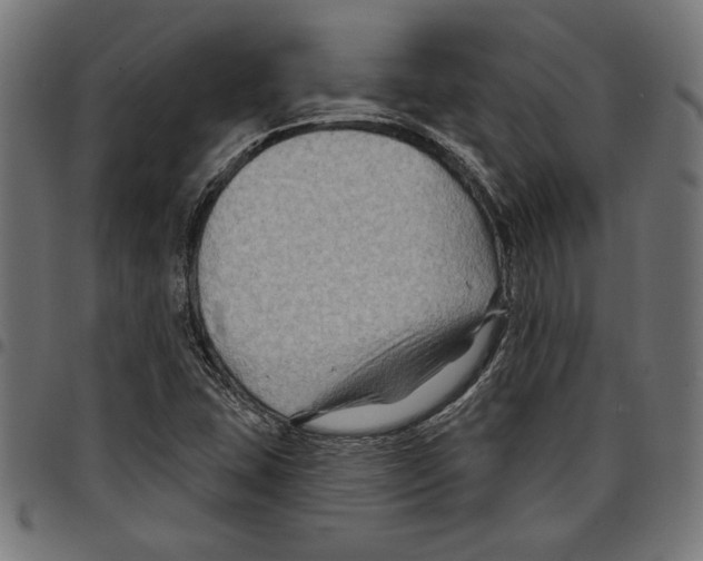 X0000097651407200803280919