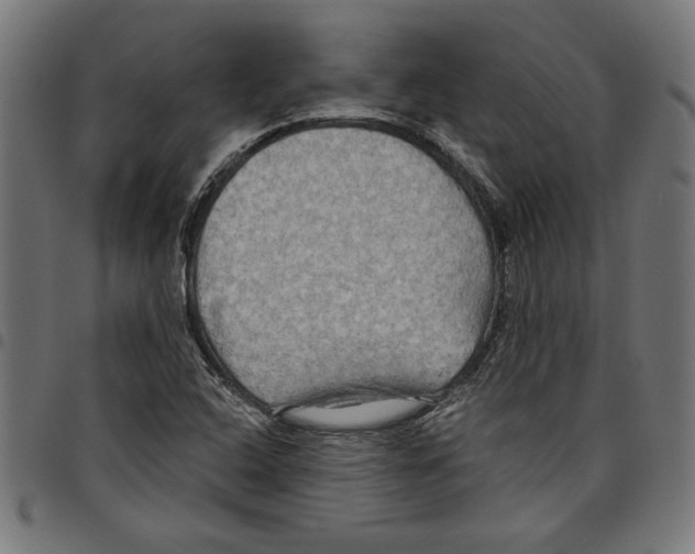 X0000097651408200803280919