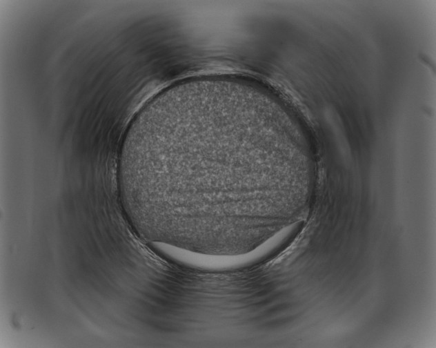 X0000097651409200803280919