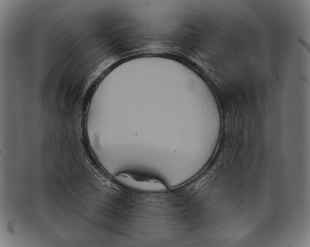 X0000097651410200803280919