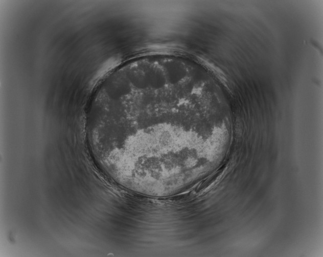 X0000097651411200803280919