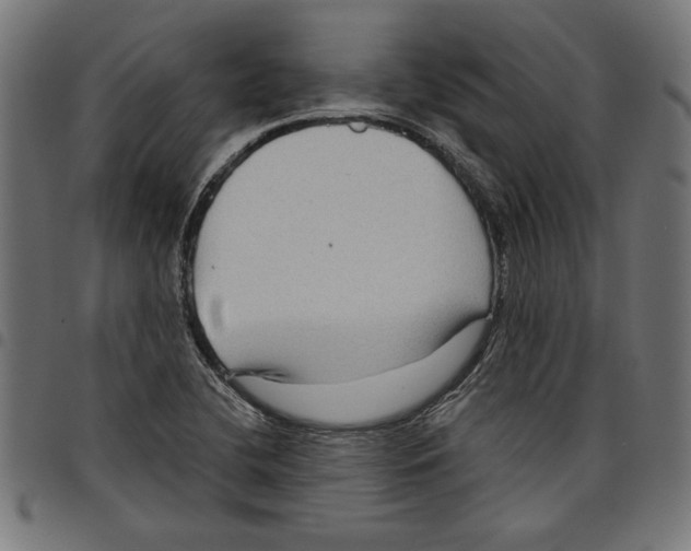 X0000097651412200803280919