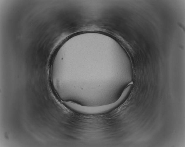 X0000097651416200803280919