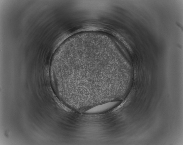 X0000097651417200803280919