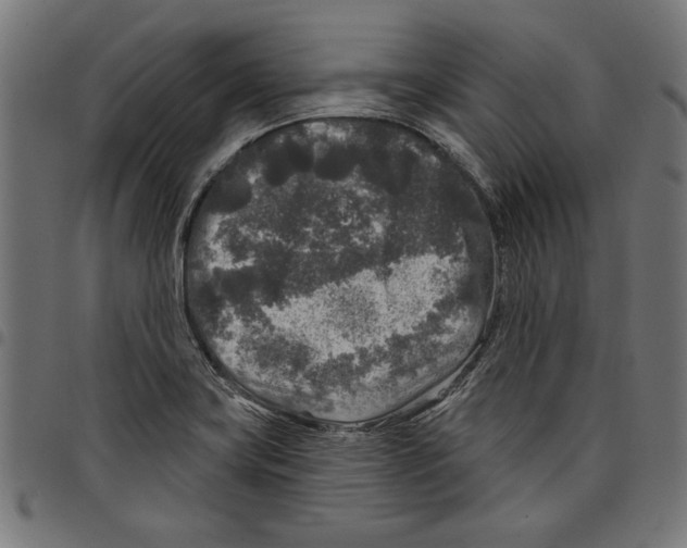 X0000097651419200803280919