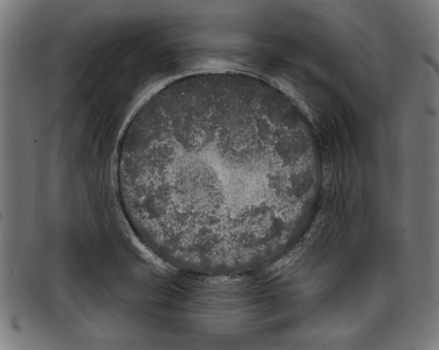 X0000097651421200803280919