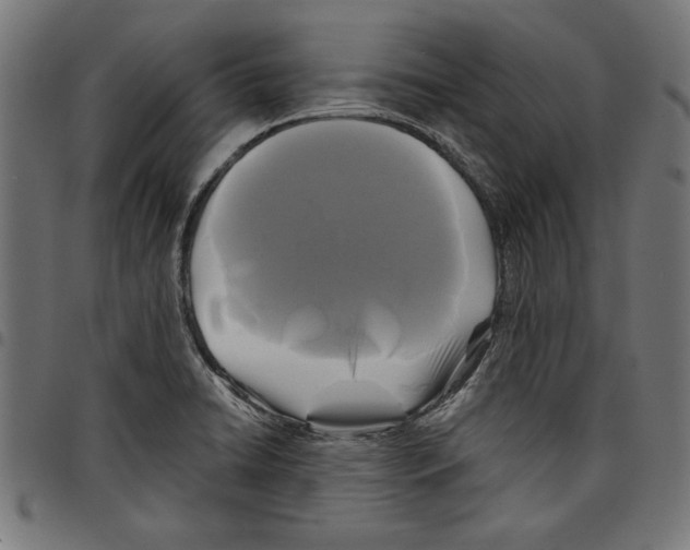 X0000097651422200803280919