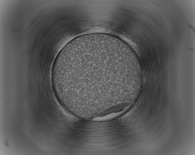 X0000097651423200803280919