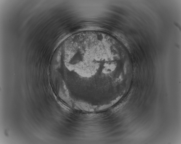 X0000097651425200803280919