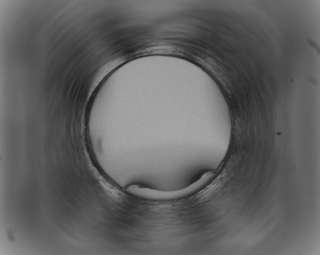 X0000097651426200803280919