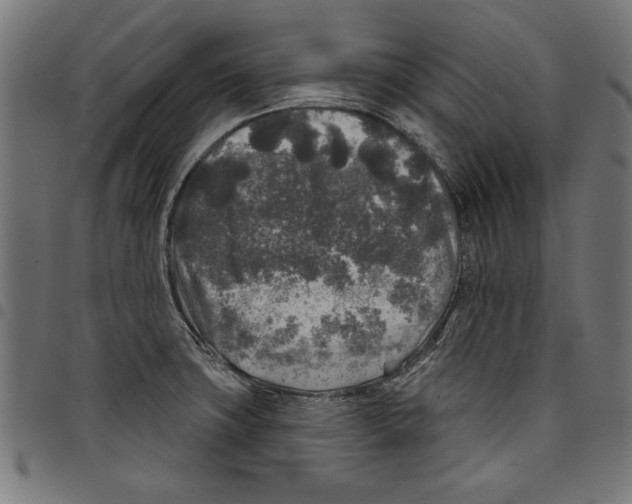 X0000097651427200803280919