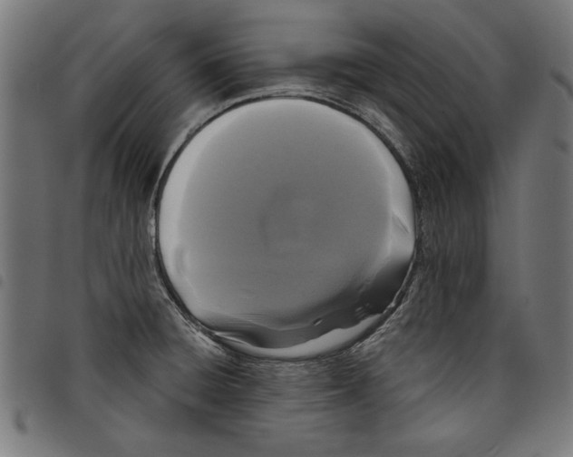 X0000097651428200803280919