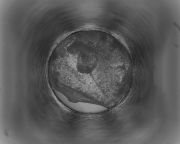 X0000097651429200803280919