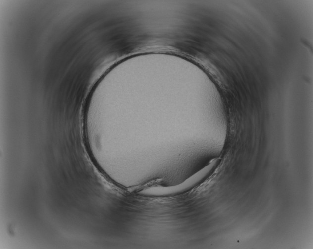 X0000097651430200803280919