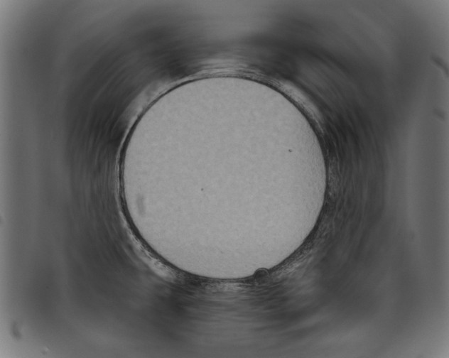 X0000097651431200803280919