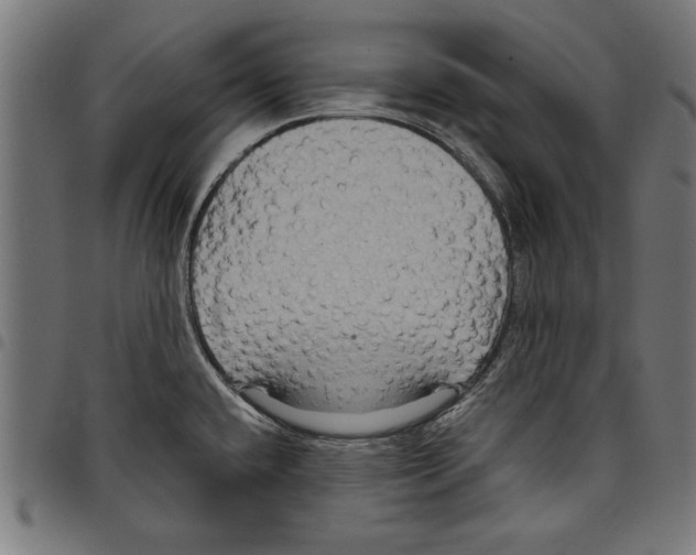 X0000097651432200803280919