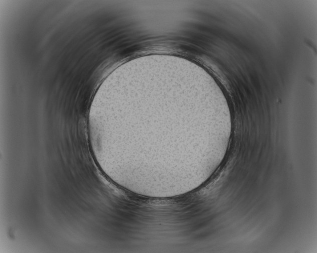 X0000097651433200803280919