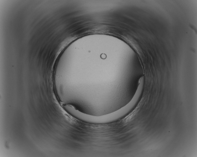 X0000097651434200803280919