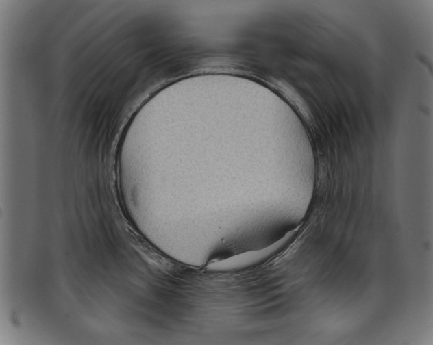 X0000097651435200803280919