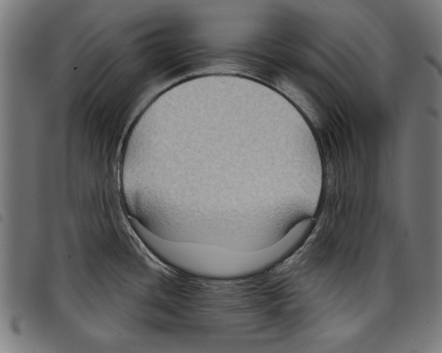 X0000097651436200803280919