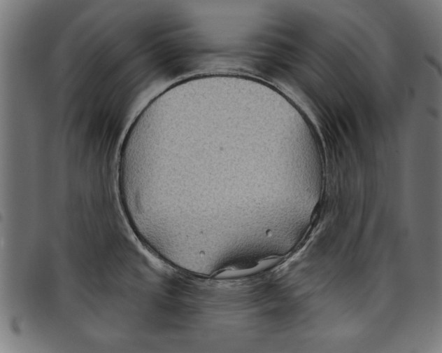 X0000097651437200803280919