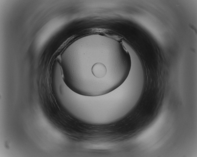 X0000097651438200803280919