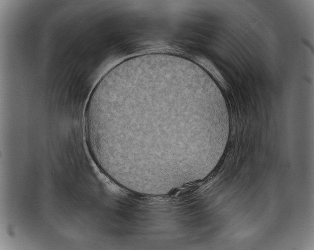 X0000097651439200803280919