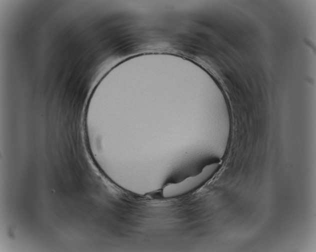 X0000097651440200803280919