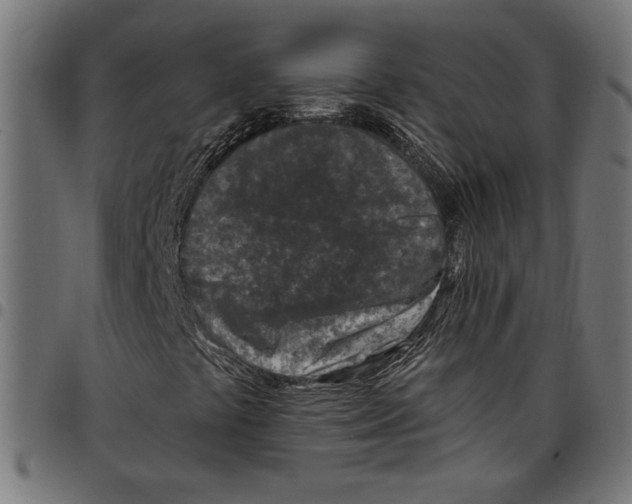 X0000097651441200803280918