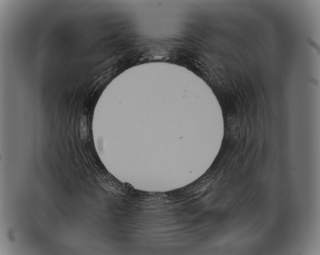 X0000097651442200803280918