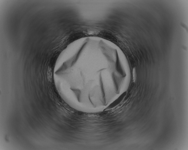 X0000097651443200803280918