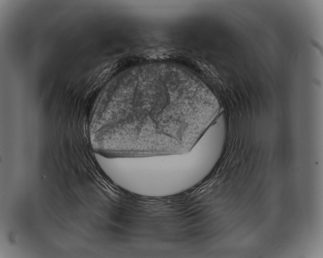 X0000097651444200803280918