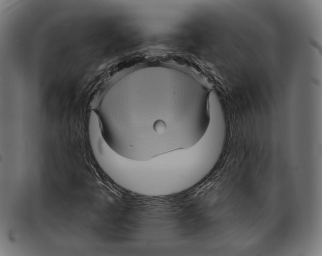 X0000097651445200803280918