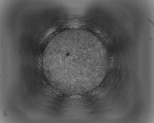 X0000097651446200803280918