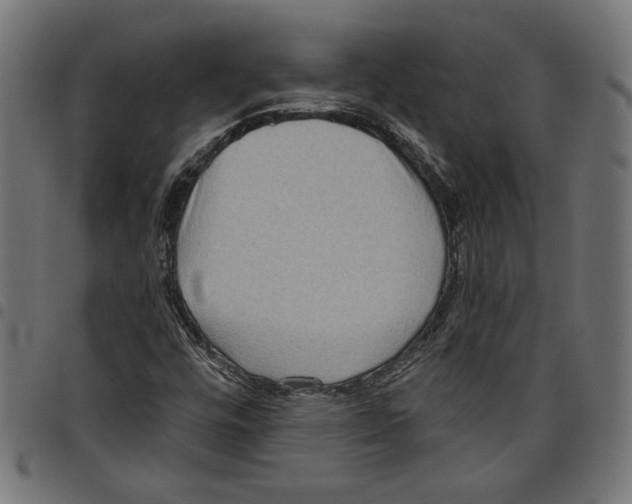 X0000097651448200803280918