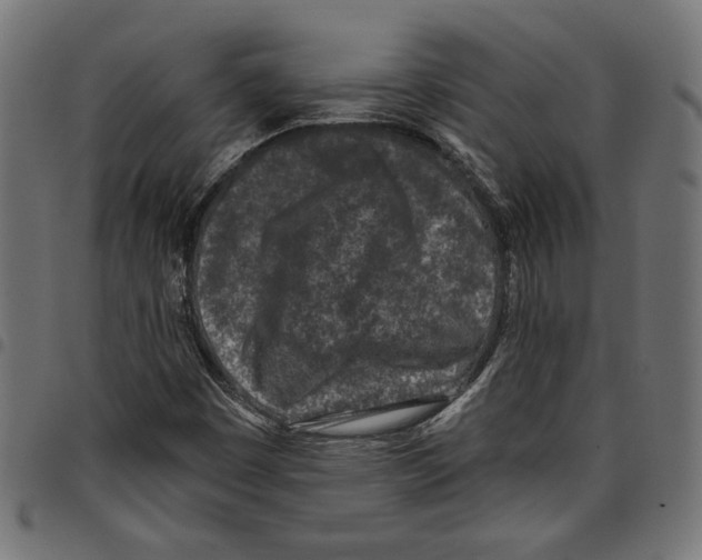 X0000097651449200803280918