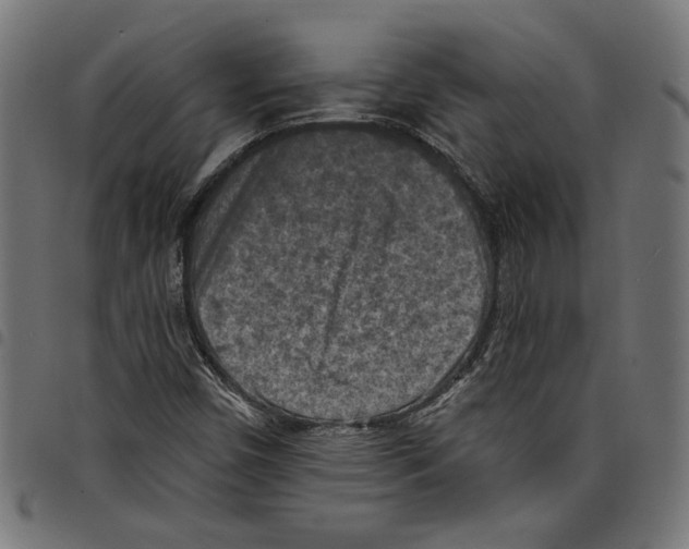 X0000097651450200803280918