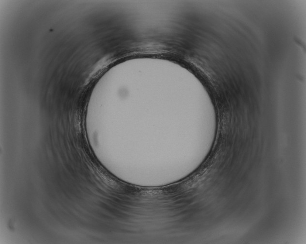 X0000097651451200803280918