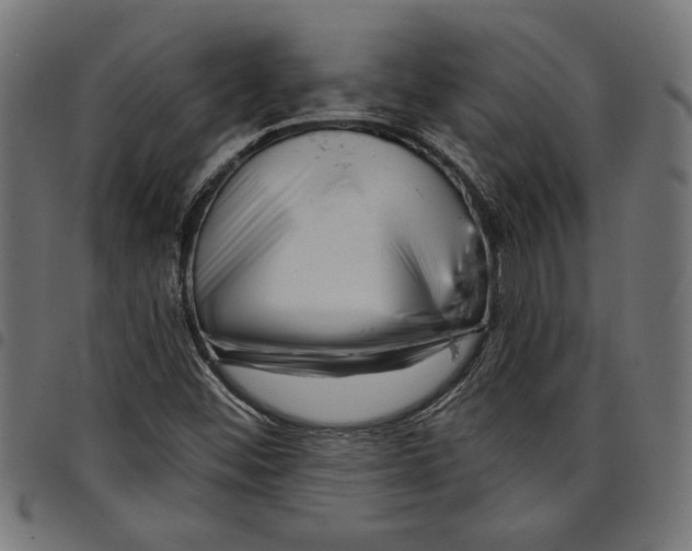 X0000097651452200803280918